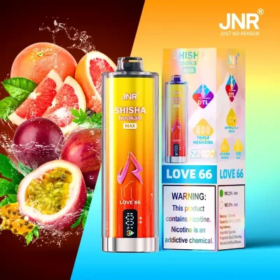 JNR Shisha Max 22K Luv 66 | 22000 Puffs Disposable Vape